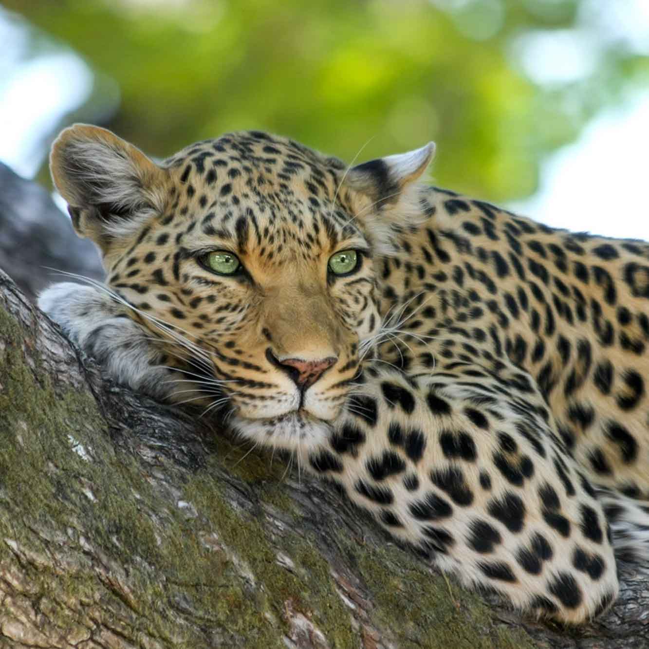About Lapalala & the Waterberg